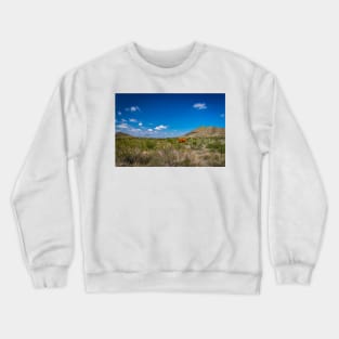 Criollo Cattle on the Open Range Crewneck Sweatshirt